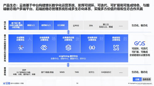 2023增長為王 消費者數字化逆向重構消費企業信息系統集成服務